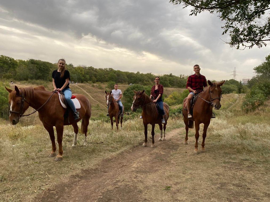 Конный клуб фото. Конные прогулки в Ростове Соловьиная роща. КСК Horse Travel. Катание на лошадях Ростов. Horse Travel Ростов.